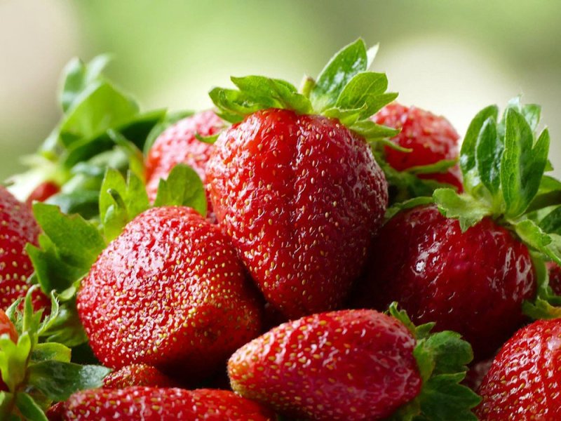 Красивые ягоды