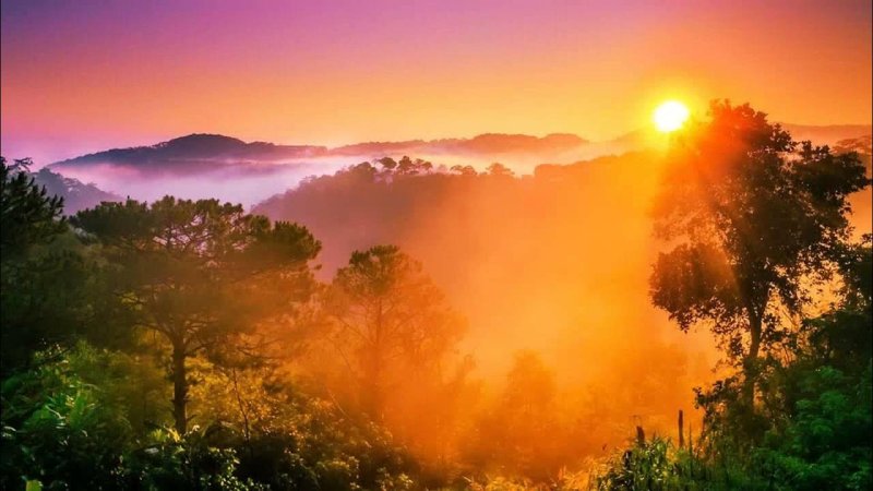 Природа рассвет