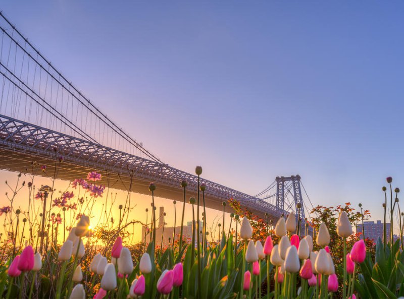 Спринг стрит Нью-Йорк