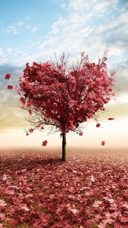 Вертикальные красивые обои на телефон