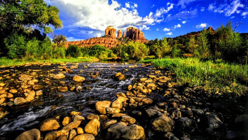 Сокровища природы