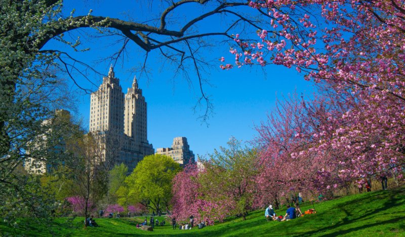 Нью-Йорк Сити Центральный парк