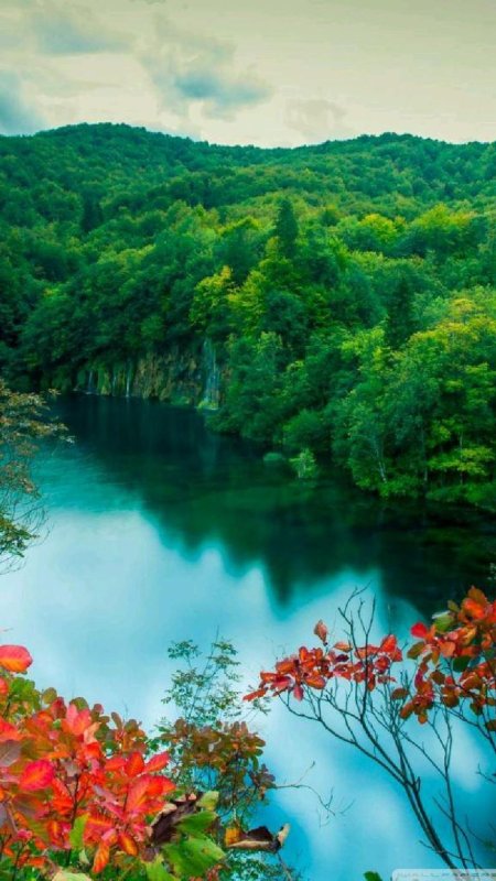 Красивые фото природы