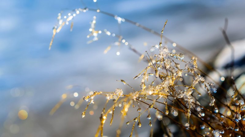 Весенняя капель