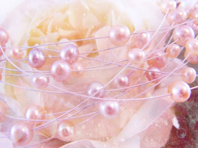 Нежные цветы и жемчуг