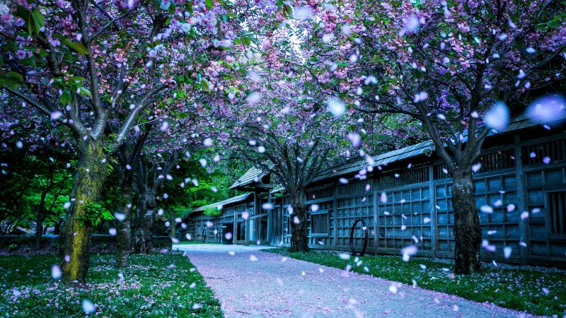 Обои на рабочий стол вес