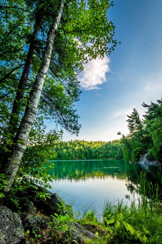 Красивая природа