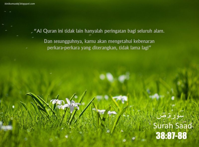 Весенний фон для рабочего стола