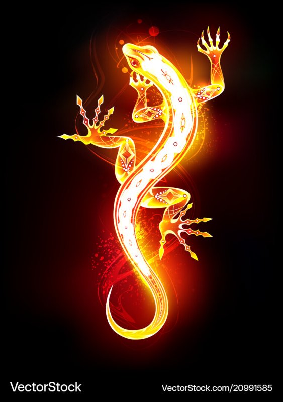 Огненная саламандра / Flame Salamander