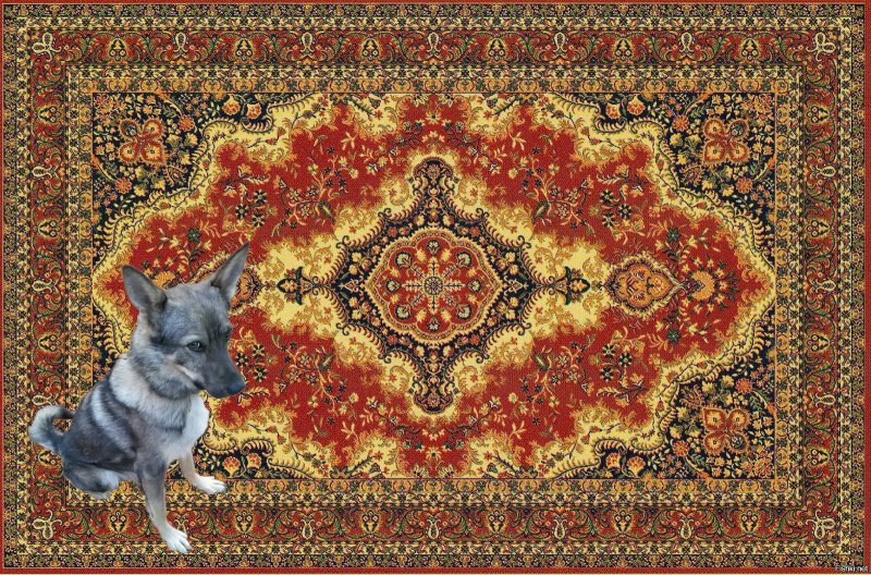 Старинные ковры