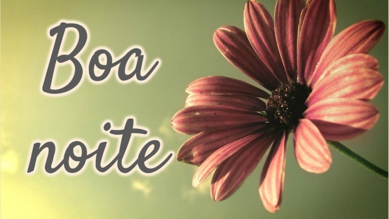 Макро цветы на рабочий стол