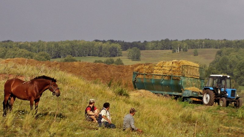 Сельский час заставка