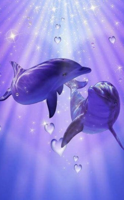 Дельфин картинка