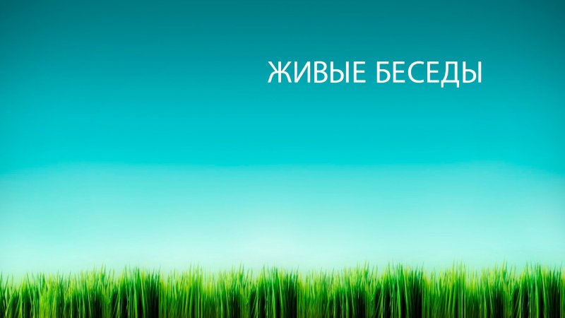 Картинки на рабочий стол однотонные
