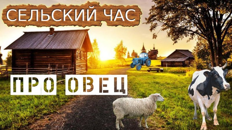 Бизнес в деревне