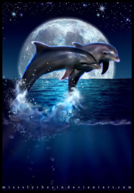 Дельфин картинка