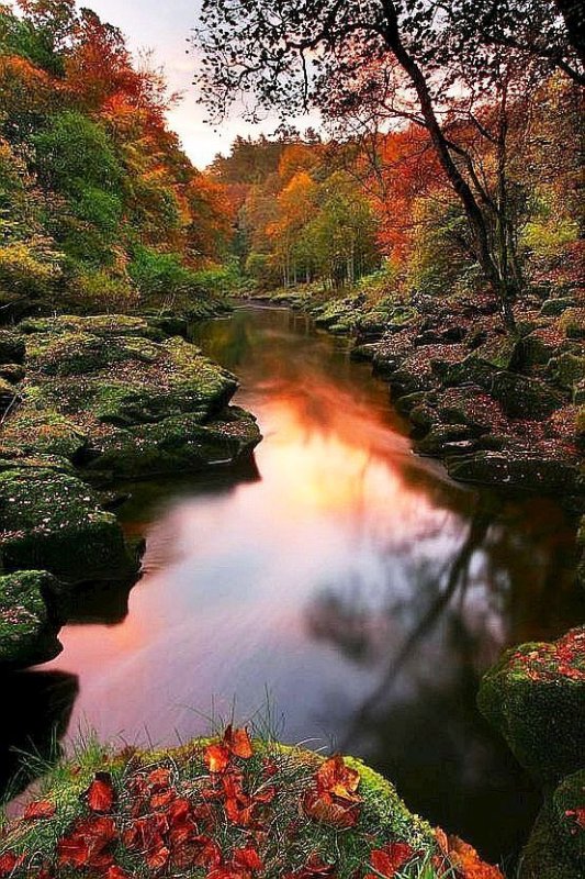 Красивые пейзажи природы