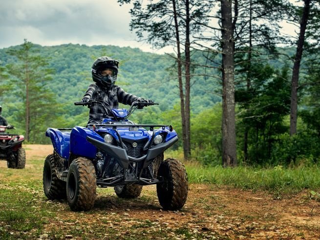 Yamaha Grizzly 300
