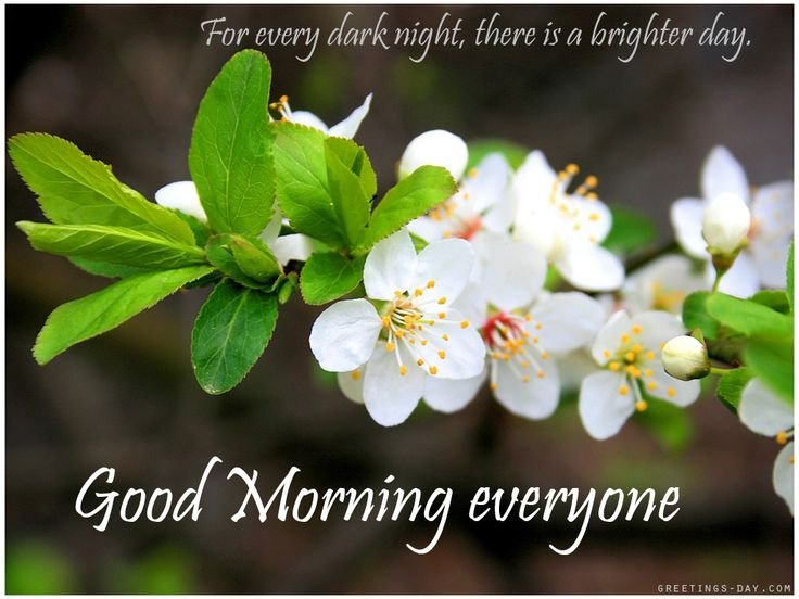 Цветущие ветки