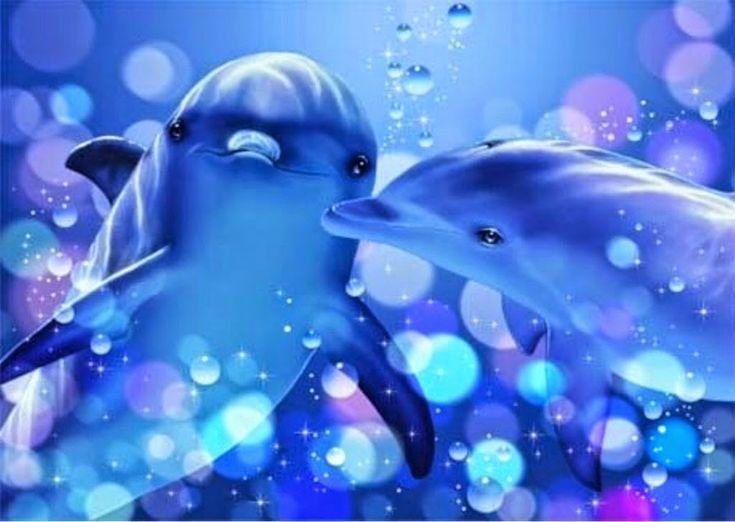 Милые дельфины