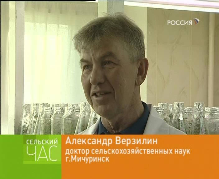 Программа сельский час