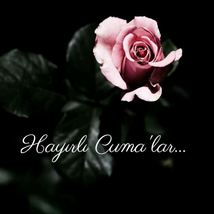 Цветы на темном фоне