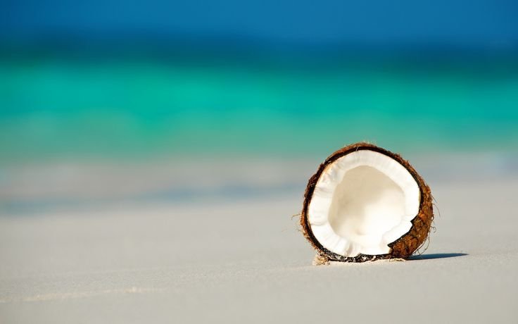 Кокосы на море
