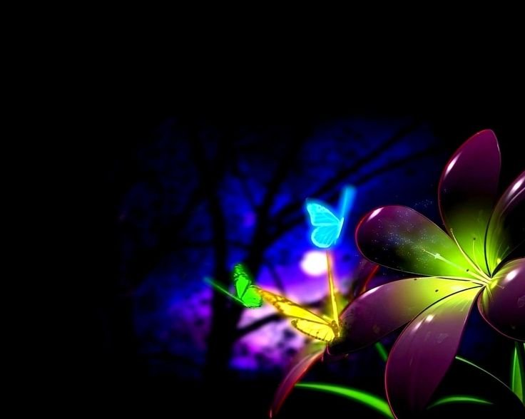 Разноцветный цветок на черном фоне
