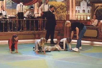 Дог шоу я и моя собака с Михаилом Ширвиндтом