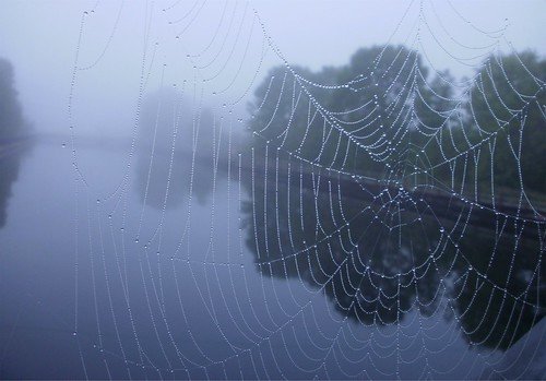 Красивая паутина