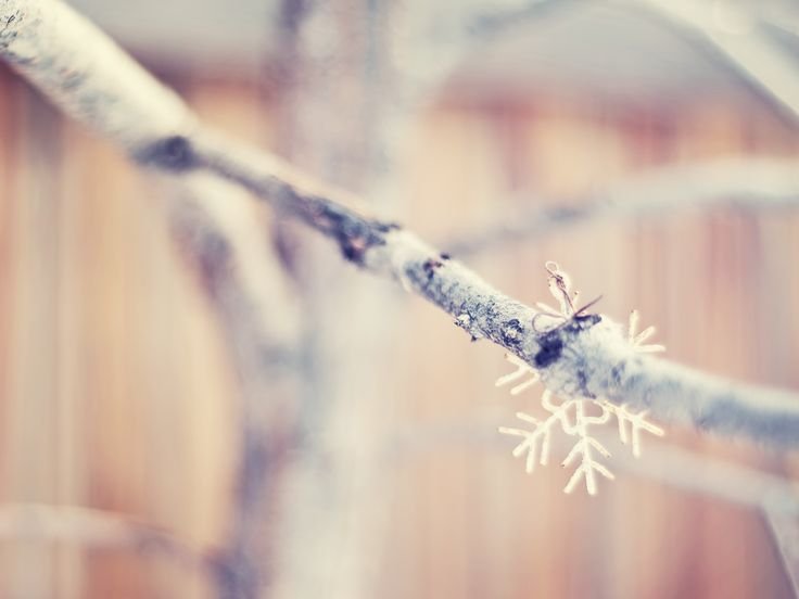 Зимнее настроение