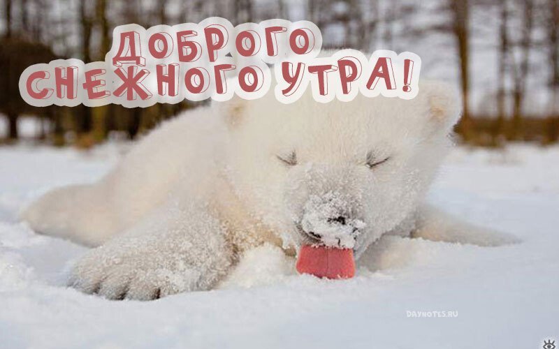 Доброе утро снег