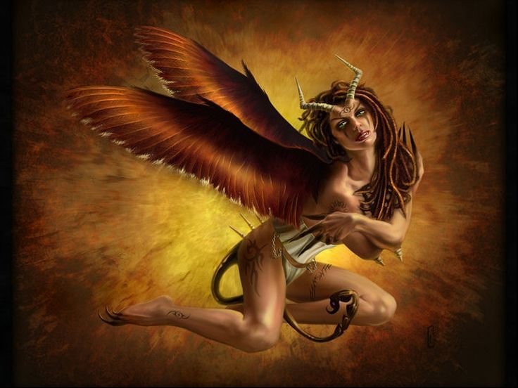 Борис Валеджио суккуб