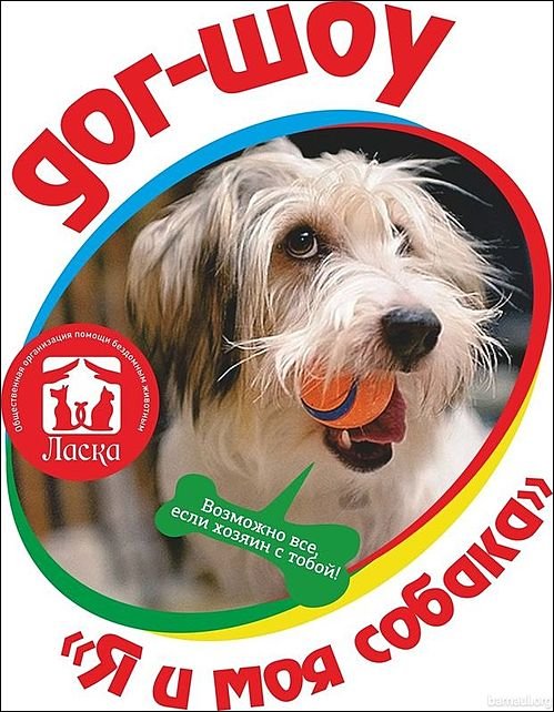 Передача про собак