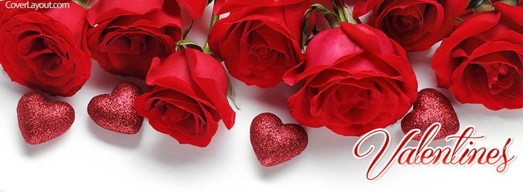 Красивые цветы