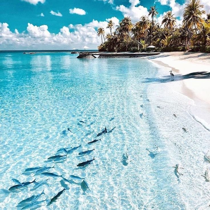 Пляж голубая Лагуна Бали