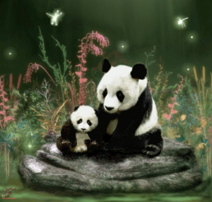 Заставки на телефон пандочки