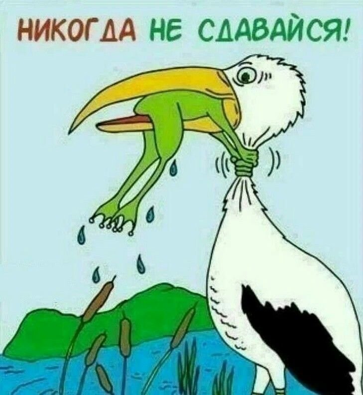 Никогда не сдавайся!