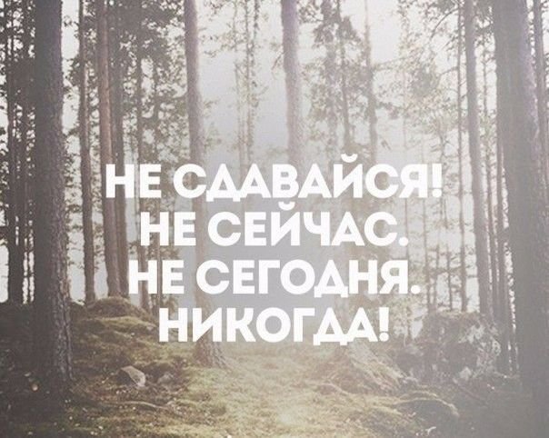 Никогда не сдавайся цитаты мотивация