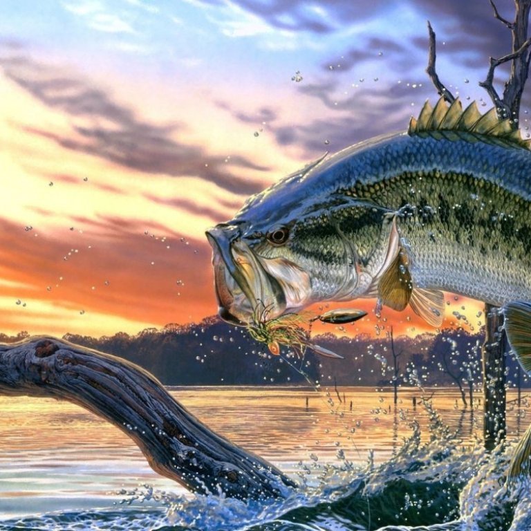 Картины на тему рыбалка