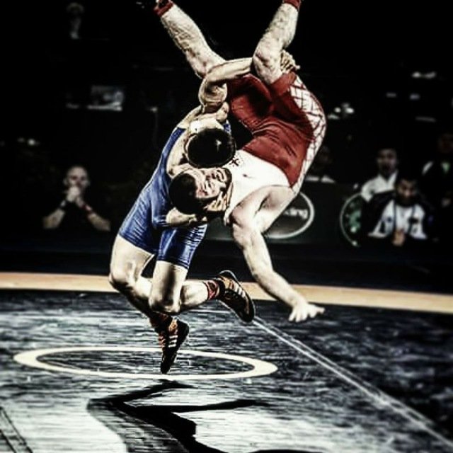 Обои на телефон борьба