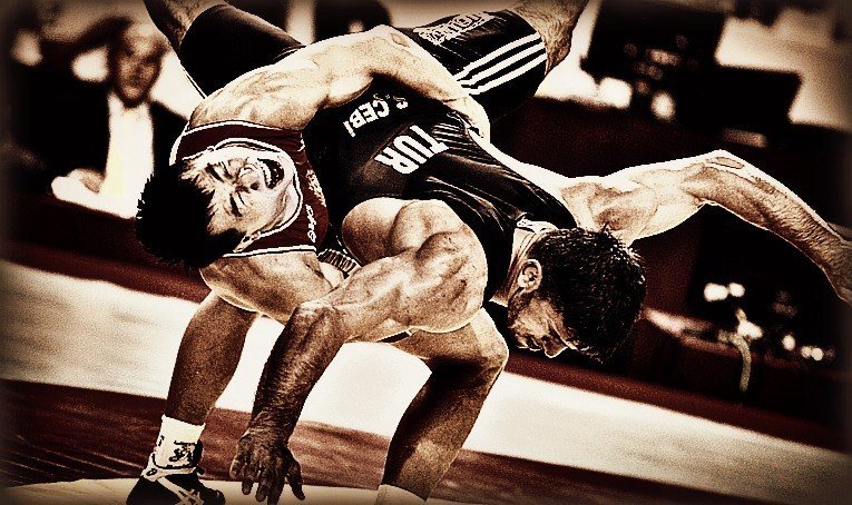 Вольная борьба