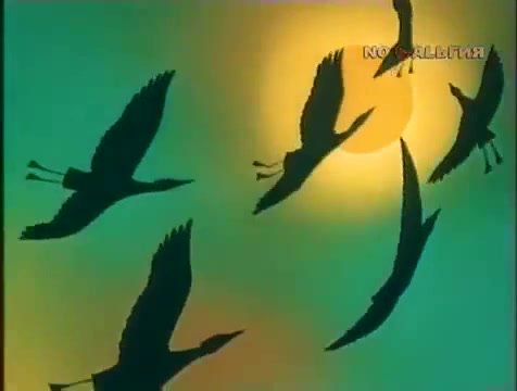 В мире животных заставка Журавли