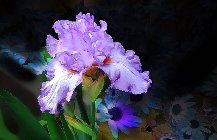 Ирис Джордж спектр