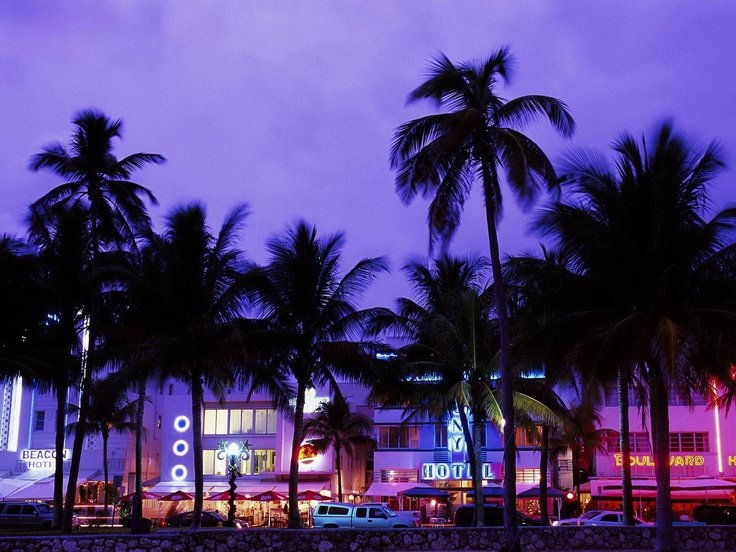 Пальмы Майами Вайс