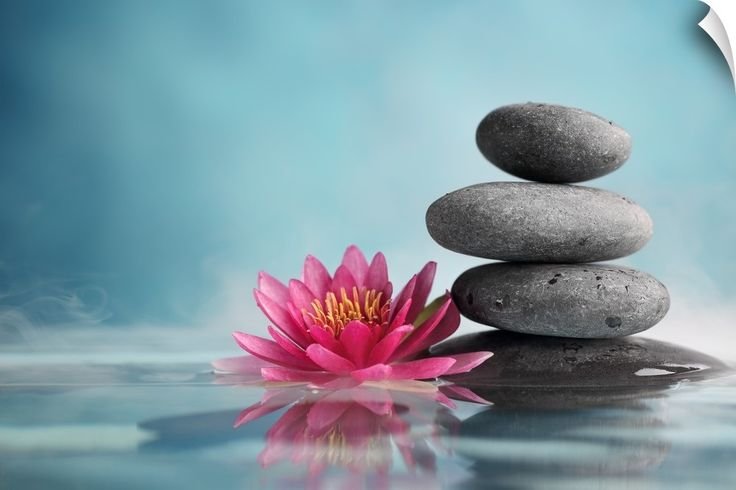 Цветы на камнях