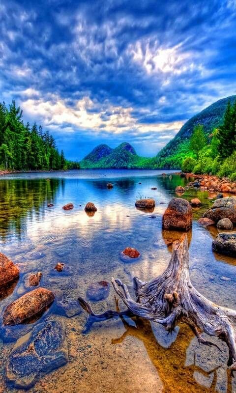 Удивительная природа