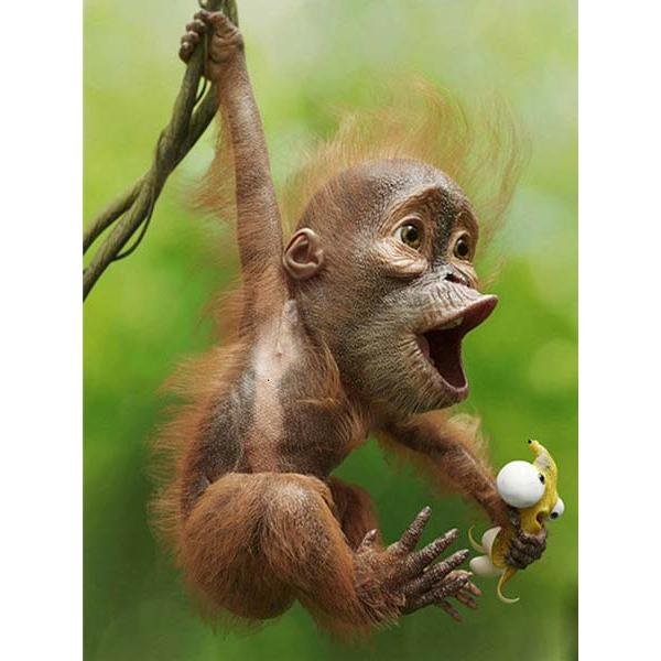 Веселые мартышки