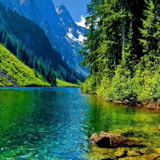 Красивая природа