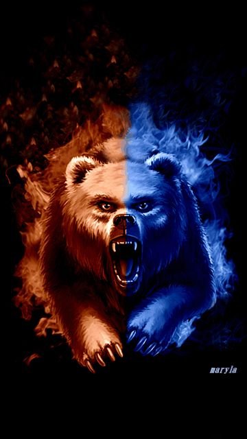 Медведь картинка